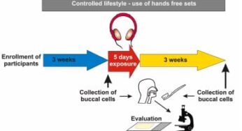 Effect Of Cell Phone Radiation On Buccal Mucosa Cells