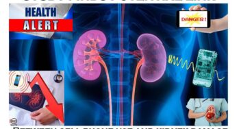 Research On The Long-Term Effects Of Radiation Emitted From Mobile Phones On Kidney Cells