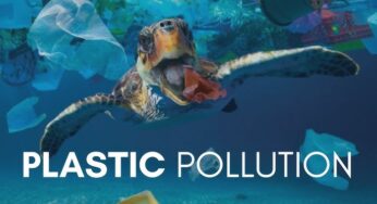 Plastic Pollution
