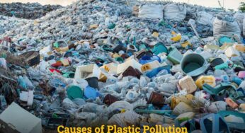 Causes Of Plastic Pollution