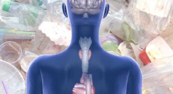 Health Effects Of Plastic Pollution