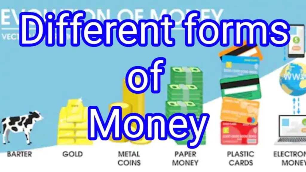 Forms Of Money