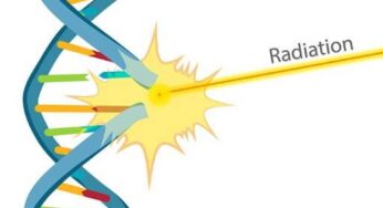 DNA Integrity Problem By Mobile Cellular Phones