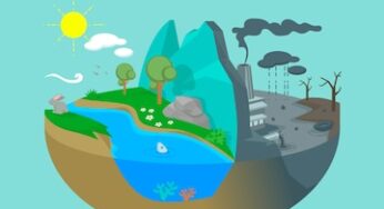 Some Of Other Pollutants In Ecosystem