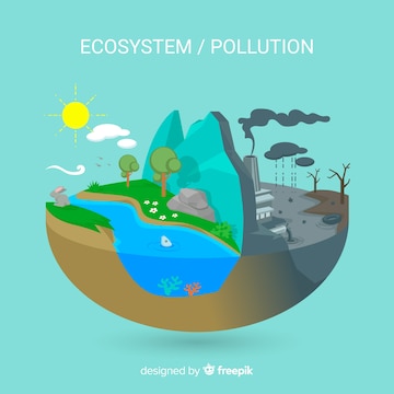 Some Of Other Pollutants In Ecosystem