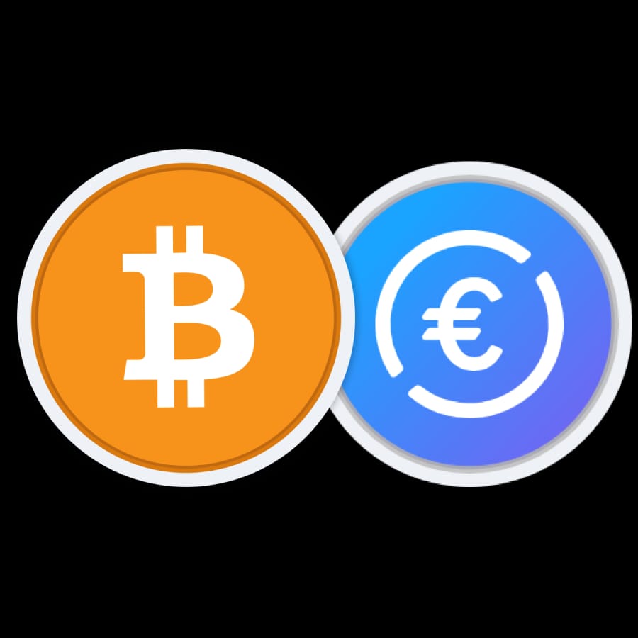 Similarities and Differences of Euro and Bitcoin Currencies