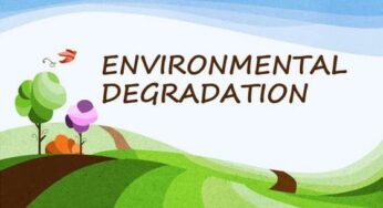 Impact Of Population Growth On Environmental Degradation