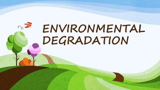 Impact Of Population Growth On Environmental Degradation