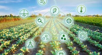 Benefits And Challenges Of Artificial Intelligence (AI) In Agriculture