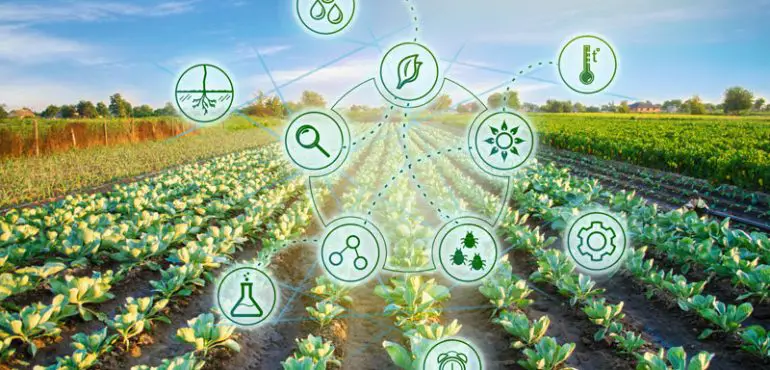 Benefits And Challenges Of Artificial Intelligence (AI) In Agriculture
