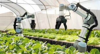 Role Of Robots In Agriculture