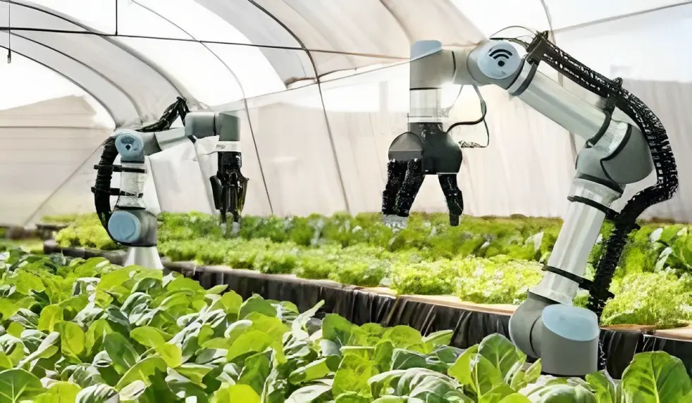 Role Of Robots In Agriculture