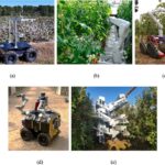 Advantages And Disadvantages Of Robots In Agriculture