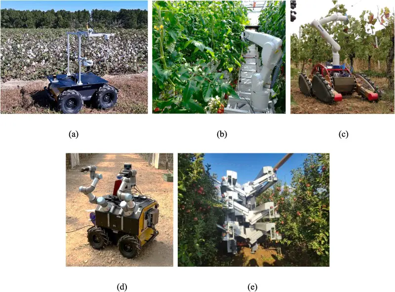 Advantages And Disadvantages Of Robots In Agriculture