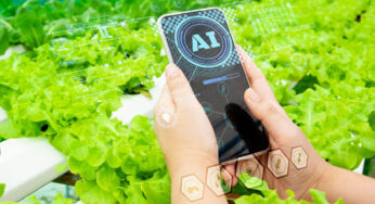 Study On Artificial Intelligence Applications Uses In Agriculture