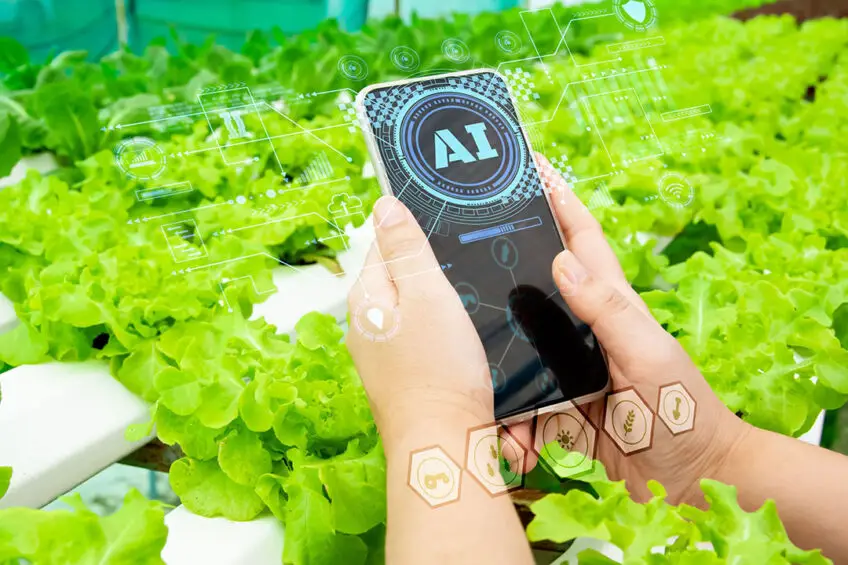 Study On Artificial Intelligence Applications Uses In Agriculture