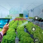 Artificial Intelligence (AI) Techniques Used For Diseases Detection In Agriculture
