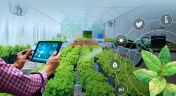 Artificial Intelligence (AI) Techniques Used For Diseases Detection In Agriculture