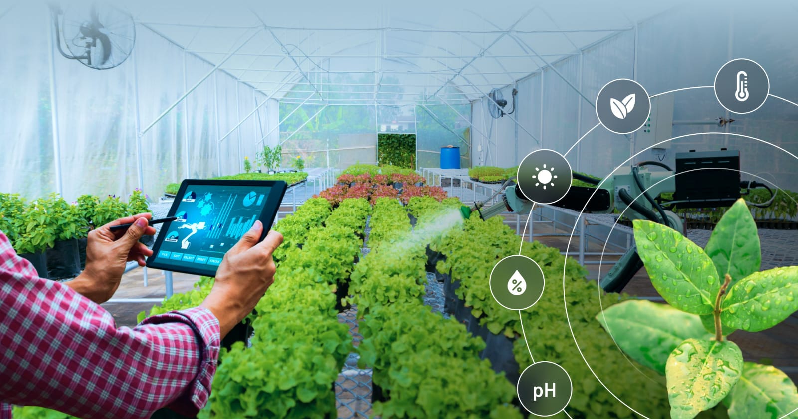 Artificial Intelligence (AI) Techniques Used For Diseases Detection In Agriculture