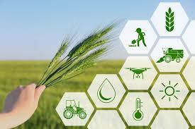 Artificial Intelligence In Agriculture