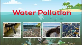 Introduction To Water Pollution