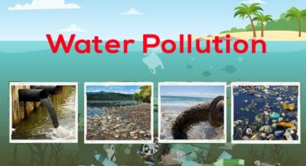 Effects And Control Ways of Water Pollution