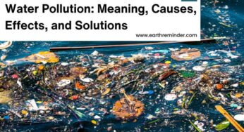 Water Pollution: Causes, Negative Effects And Prevention Methods