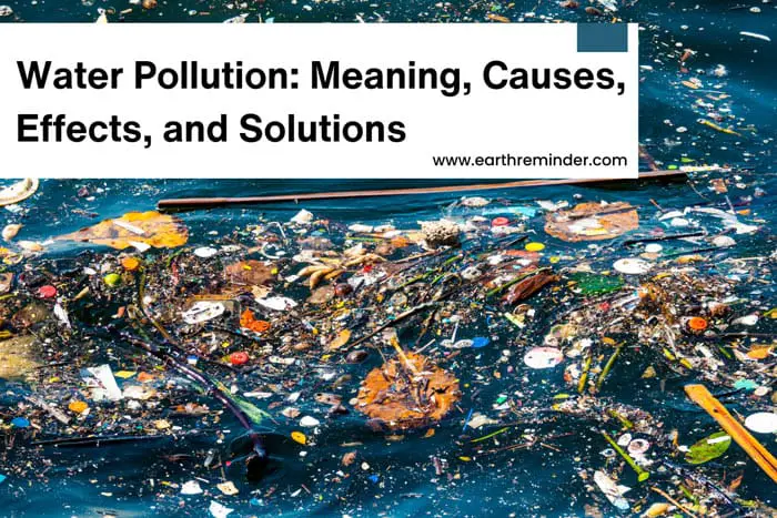 Water Pollution: Causes, Negative Effects And Prevention Methods