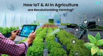 How AI Is Revolutionizing Agriculture