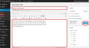 Publishing Your Post And Changing Privacy Settings