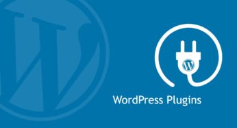 How To Use WordPress Plugins