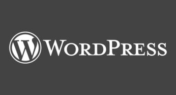 Exploring Basic WordPress Concepts