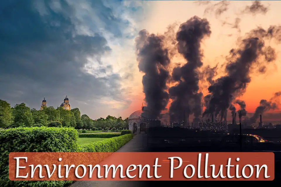 Environmental Pollution
