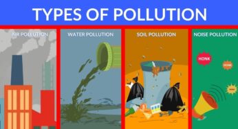 Major Types Of Pollution