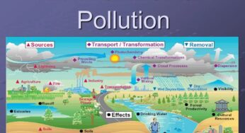 Causes Of Environmental Pollution
