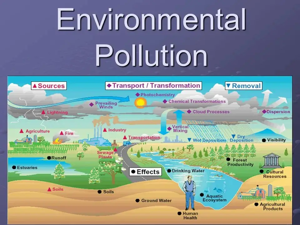 Causes Of Environmental Pollution