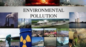 Effects Of Environmental Pollution