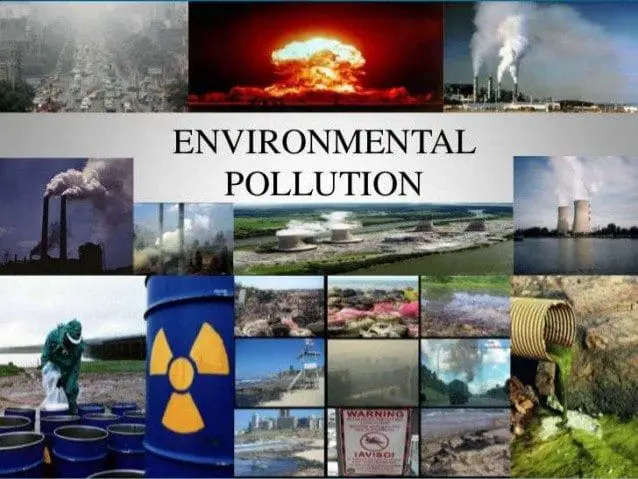 Effects Of Environmental Pollution