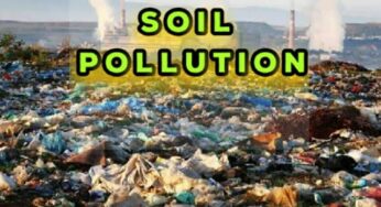 Soil Pollution – Causes, Types, Effects And Control Measures