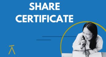 Know The Condition Of Shares From The Company’s Report Card