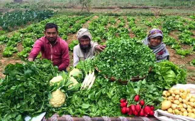 Farmers Will Now Get Higher Prices For Crops: MSP Increase For 14 Crops Including Paddy, Loan Will Be Available At Lower Interest On Kisan Credit Card