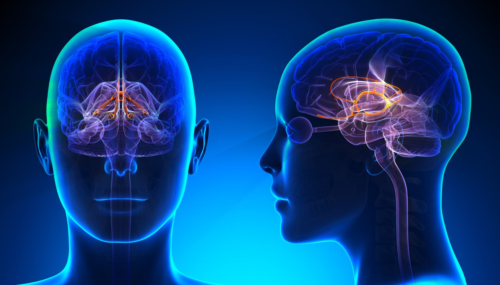 Physical Health- Brain’s Chemical Balance Changes In Summer: Unhappiness Anger And Depression Increase In Summer, Learn How To Stay Calm And Calm