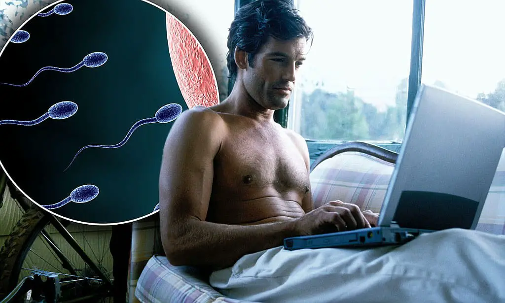 Fertility Decreasing Due To Wi-Fi, Computers: Every 6th Character Suffers Of Infertility Globally, Recognize Purpose From Doctor