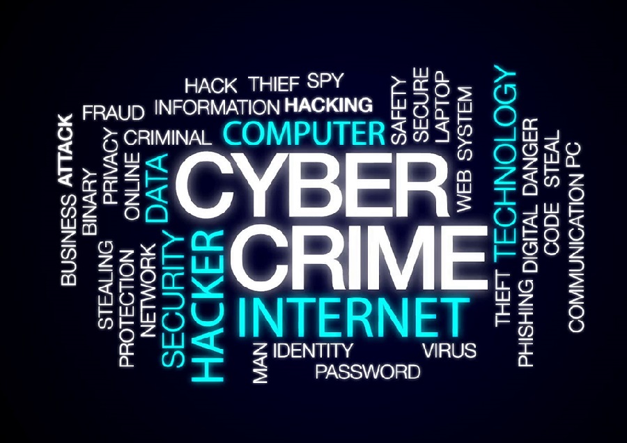 Important Information About Cyber Crime