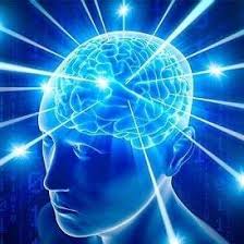 Fascinating Facts About The Human Brain