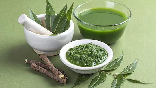 Neem Water Benefits: Drink Neem Water To Boost Immunity; There Is A Surefire Cure For Many Diseases Hidden In It