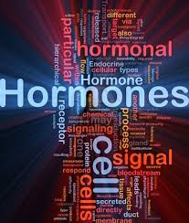 List Of Important Hormones And Their Functions